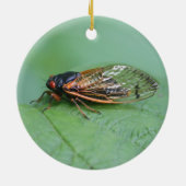Foto van Cicada Keramisch Ornament (Achterkant)