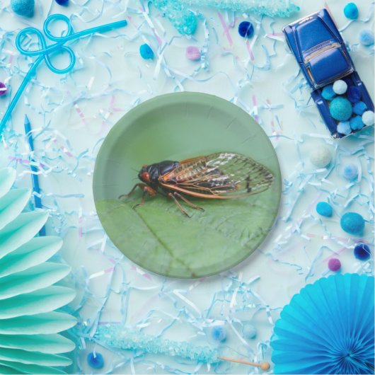 Foto van Cicada Papieren Bordje (Feest)