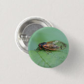 Foto van Cicada Ronde Button 3,2 Cm (Voorkant /achterkant)