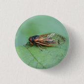Foto van Cicada Ronde Button 3,2 Cm (Voorkant)