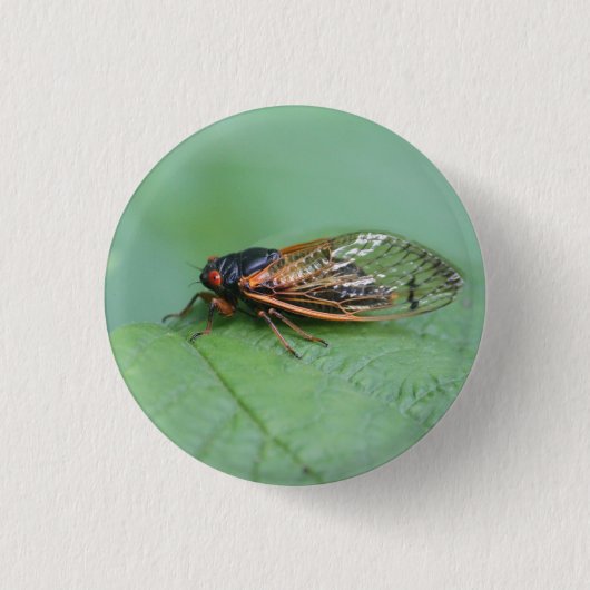 Foto van Cicada Ronde Button 3,2 Cm (Voorkant)