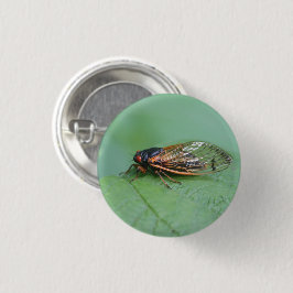 Foto van Cicada Ronde Button 3,2 Cm
