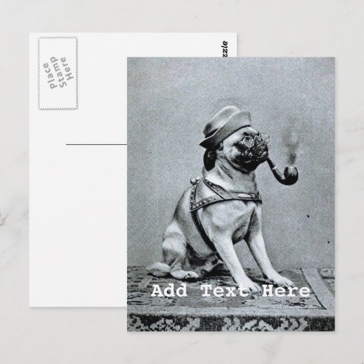 Foto van  Classy Pug Briefkaart (Voorkant / Achterkant)