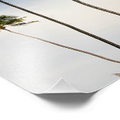 Foto van Coconut Trees Brazilië Afdruk (Hoek)