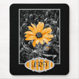 Foto van Color Splash Spring Flash African Daisy Muismat