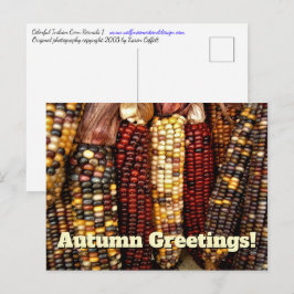 Foto van Colorful Indian Corn Kernels Briefkaart