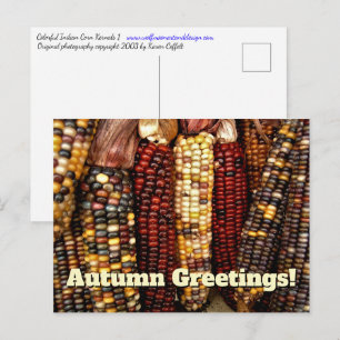 Foto van Colorful Indian Corn Kernels Briefkaart