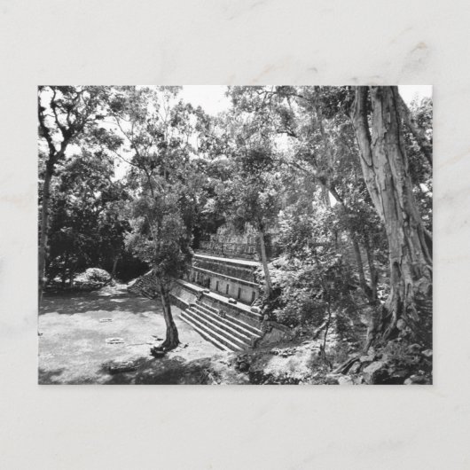  foto van Copan Mayan Ruins van Honduras  Briefkaart (Voorkant)