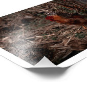 Foto van Coq - Uekani - 17,7x12,7 cm Afdruk (Hoek)