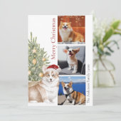Foto van Corgi-kerstboom Pet Dog Feestdagenkaart (Staand voorkant)
