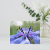 Foto van Cornflower Natuur Briefkaart (Staand voorkant)
