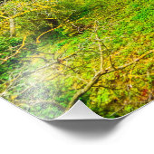 Foto van Corvin castle Afdruk (Hoek)