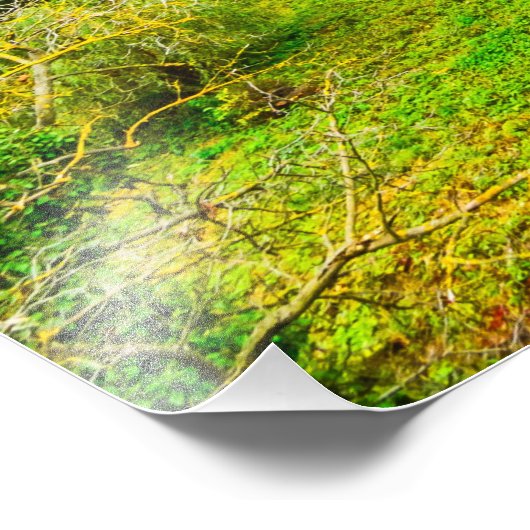 Foto van Corvin castle Foto Afdruk (Hoek)