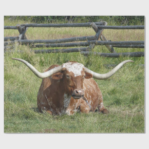 Foto van Cow Texas Longhorn Cadeaupapier