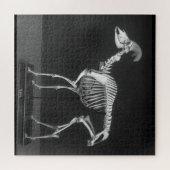Foto van Creepy Bighorn Sheep gemonteerd Skeleton  Legpuzzel (Horizontaal)