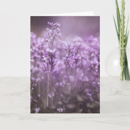 Foto van Cuckoo Flower Natuur Kaart (Voorkant)