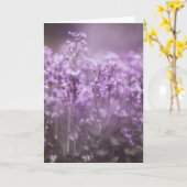 Foto van Cuckoo Flower Natuur Kaart (Gele Bloem)