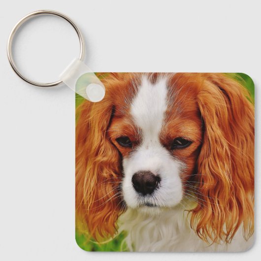 Foto van Cute 2 Photo Double Sided Pet Photo Sleutelhanger (Voorkant)