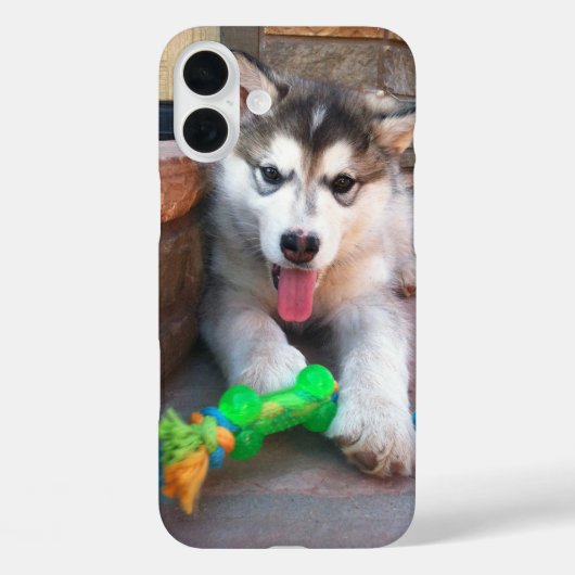 Foto van Cute Alaskan Malamute Puppy Case-Mate iPhone Case (Achterkant)