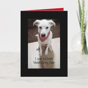Foto van Cute Angry Dog Valentijnsdag Black Kaart