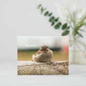 Foto van Cute Baby Sparrow Bird Briefkaart (Staand voorkant)