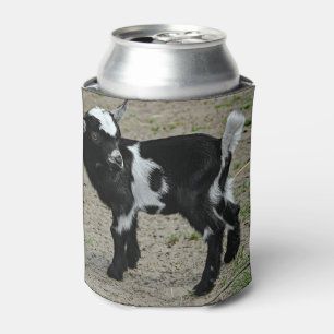 Foto van Cute Black and White Baby Goat Blikjeskoeler