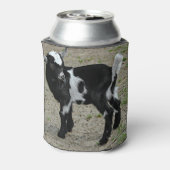 Foto van Cute Black en White Baby Goat Blikjeskoeler (Blikje Achterkant)