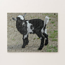 Foto van Cute Black en White Baby Goat Legpuzzel