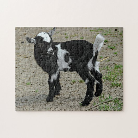 Foto van Cute Black en White Baby Goat Legpuzzel (Horizontaal)
