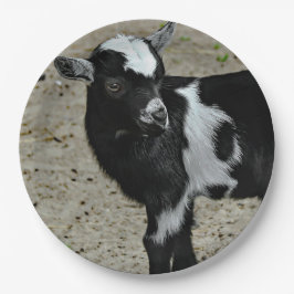 Foto van Cute Black en White Baby Goat Papieren Bordje