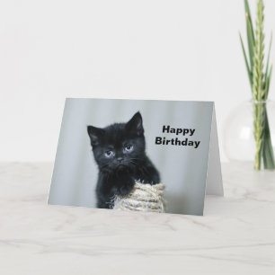 Foto van Cute Black Kitten Twine Birthday Kaart