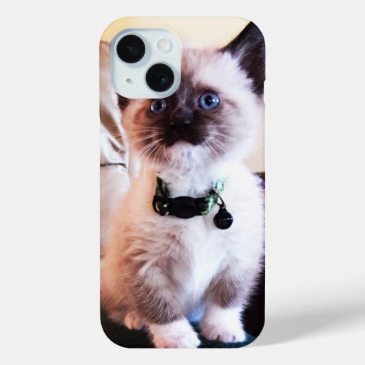 Foto van Cute Blue Eyed Mask Kitten Case-Mate iPhone Case (Achterkant)