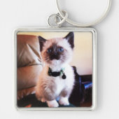 Foto van Cute Blue Eyed Mask Kitten Sleutelhanger (Voorkant)