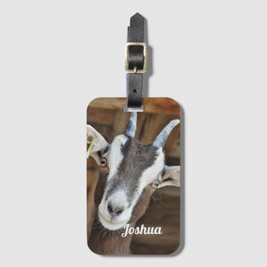 Foto van Cute Brown en White Goat Bagagelabel (Voorkant (verticaal))