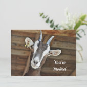 Foto van Cute Brown en White Goat Birthday Kaart (Staand voorkant)