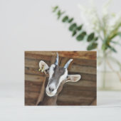 Foto van Cute Brown en White Goat Briefkaart (Staand voorkant)