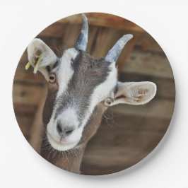 Foto van Cute Brown en White Goat Papieren Bordje