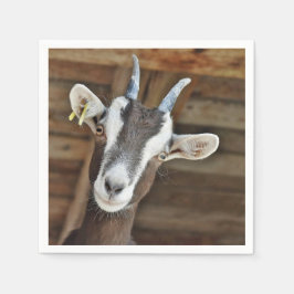 Foto van Cute Brown en White Goat Servet