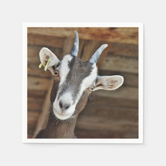 Foto van Cute Brown en White Goat Servet (Voorkant)