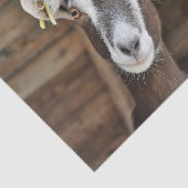 Foto van Cute Brown en White Goat Tissuepapier (Detail)