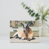 Foto van Cute Brown Goat Slapen Briefkaart (Staand voorkant)