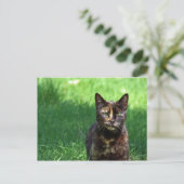 Foto van Cute Brown Tortoiseshel Cat Briefkaart (Staand voorkant)