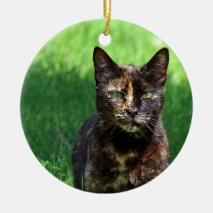 Foto van Cute Brown Tortoiseshel Cat Keramisch Ornament