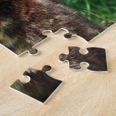 Foto van Cute Brown Tortoiseshel Cat Legpuzzel (Zijkant)