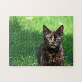 Foto van Cute Brown Tortoiseshel Cat Legpuzzel