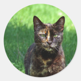 Foto van Cute Brown Tortoiseshel Cat Ronde Sticker