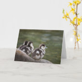 Foto van Cute Chicks Natuur Kaart (Gele Bloem)