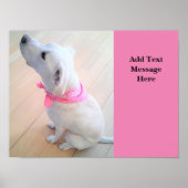 Foto van Cute Dog die omhoog kijkt Voeg tekstopper Poster (Voorkant)