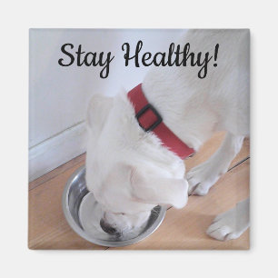 Foto van Cute Dog Drink water Motivatie Magneet