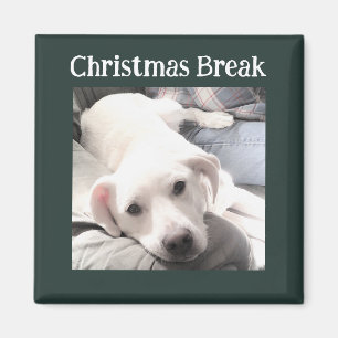 Foto van Cute Dog Kerstbreak Green Magneet